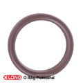 Brown Quad Ring mit kompletten Formen für Rotary Seal